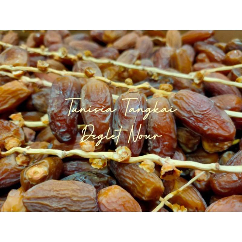 

Kurma Tunisia Tangkai