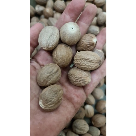 

nutmeg (pala kupas)