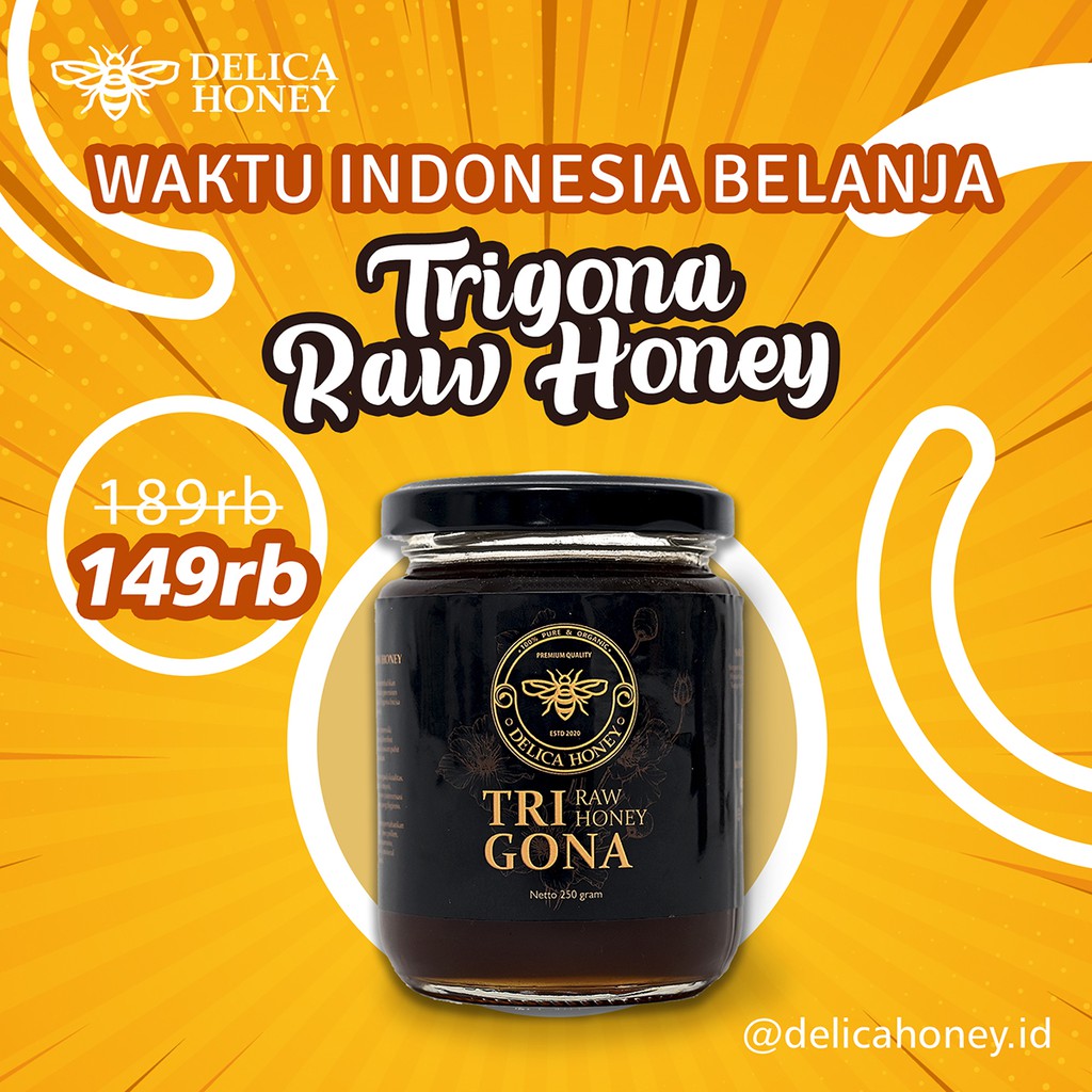 

Trigona Raw Honey 250 gram | Delica Honey | Madu Mentah Trigona 100% Murni & Organik