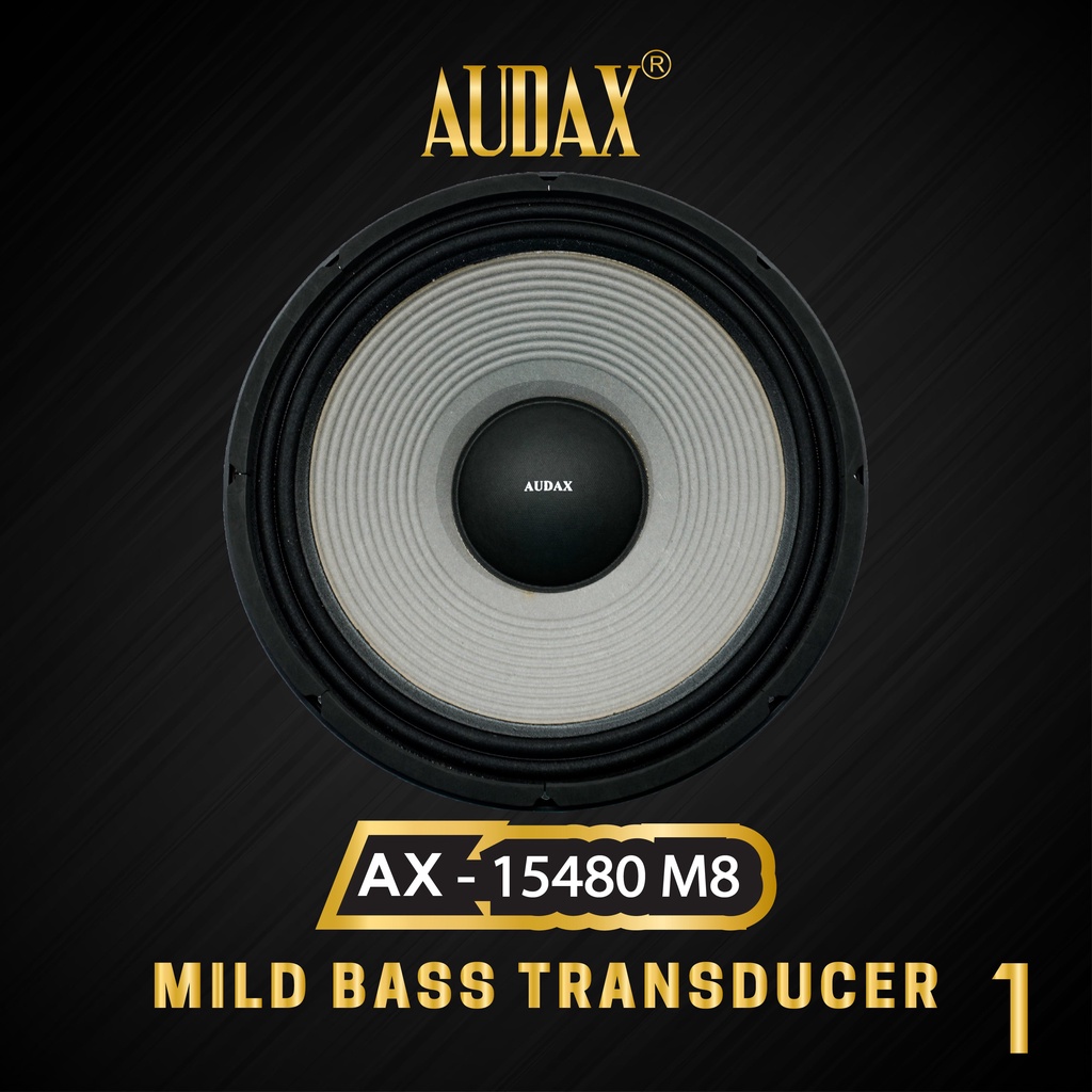 Audax - Speaker Pasif 15" AX-15480 M8 MID & BASS Transducers