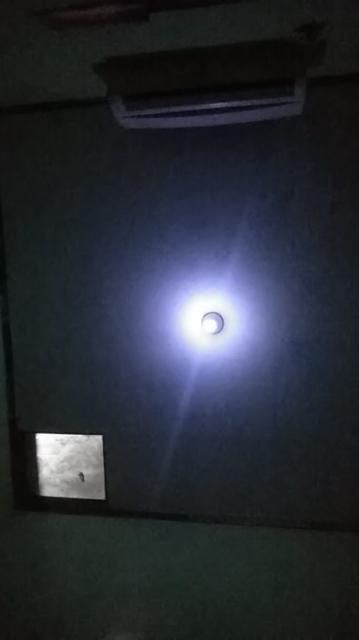 Kain Batik Pekalongan Motif Merak / Batik Indonesia / Batik Jogja