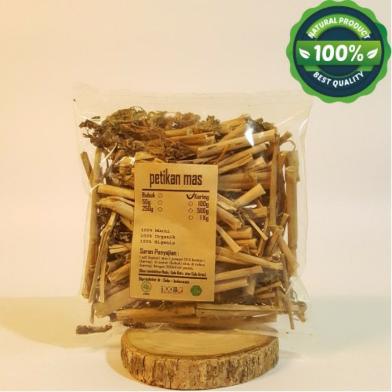 PETIKAN MAS KATE MAS KERING 250 GRAM - Euphorbia Prunifolia Jacq