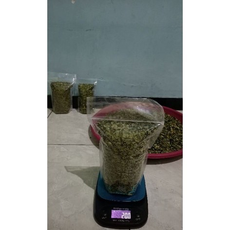 

DAUN KELOR KERING