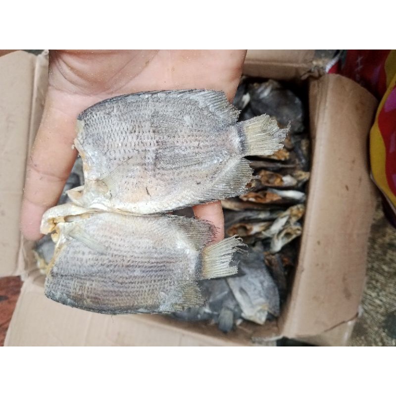 

Ikan Asin TEMBAKANG/TAMBAK grade A ; 500 gram