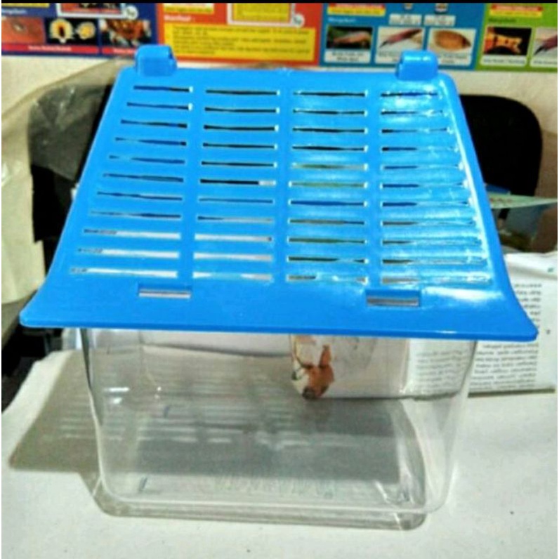 Aquarium Mini ikan kecil Armada Pet Home 01