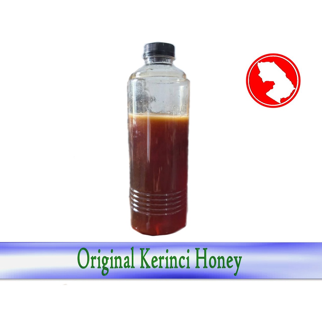 

Madu Asli - Lebah Liar 500 Gram - Kemasan Botol - Kerinci Regency