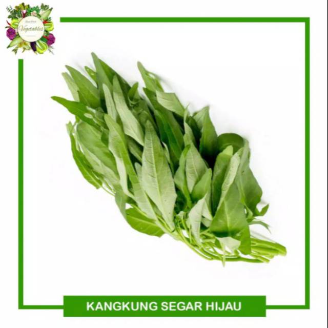 

Kangkung Fresh BOGOR Per Ikat