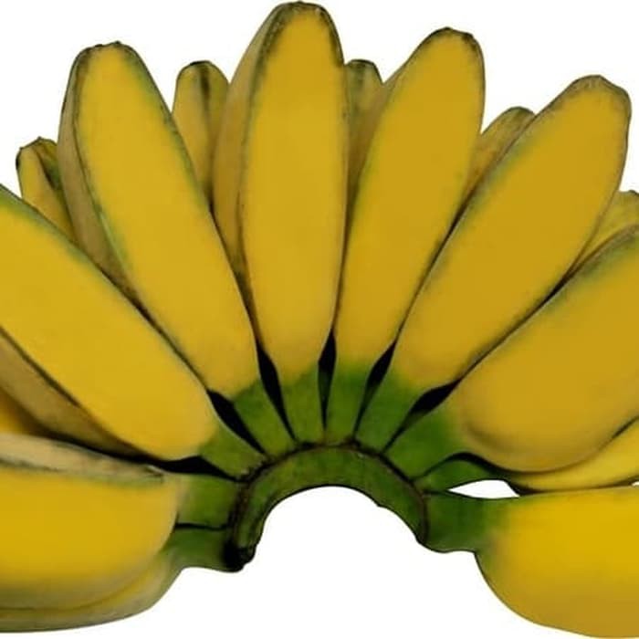 

Pisang Kepok Segar