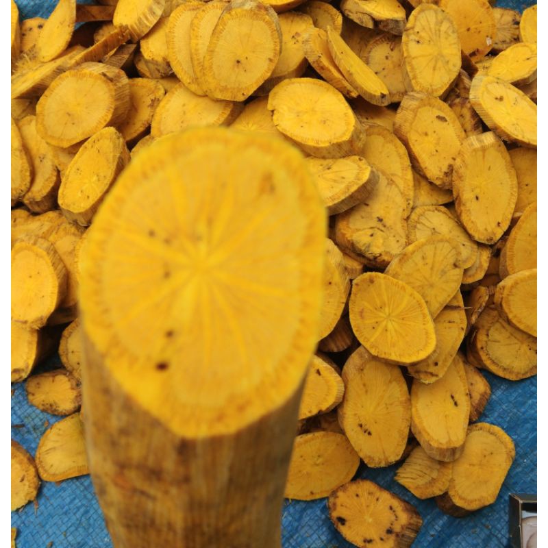 

akar kuning asli kalimantan