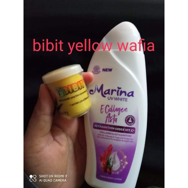 BIBIT YELLOW WAFIA YSC /BIBIT PEMUTIH BADAN