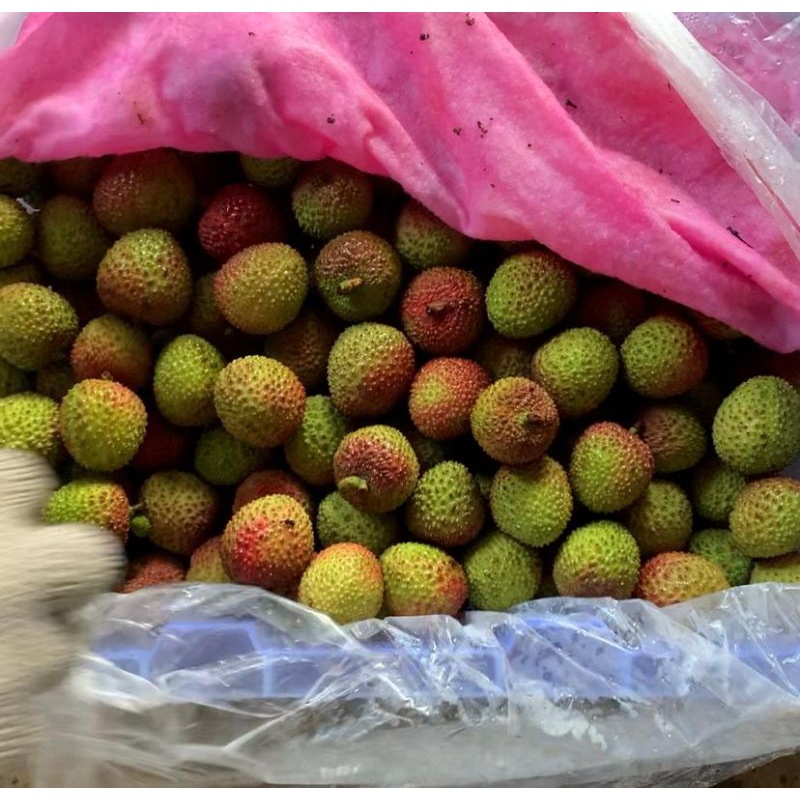 

Leci madu / 1krat / 5kg