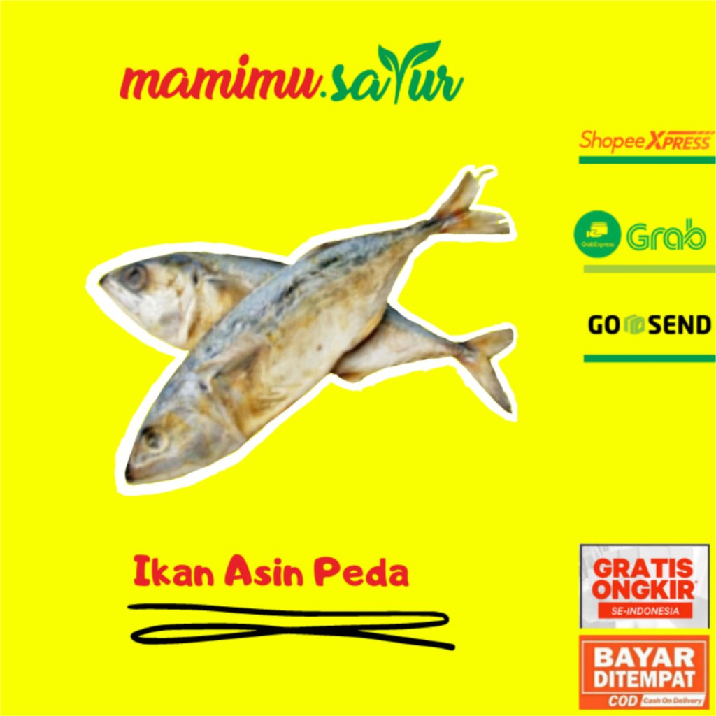 

IKAN ASIN PEDA IKAN PEDA ASIN IKAN ASIN PEDA ASIN SUPER 1 EKOR