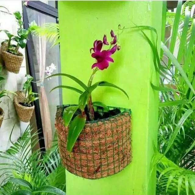 Pot tempel pot dinding pot anggrek pot unik