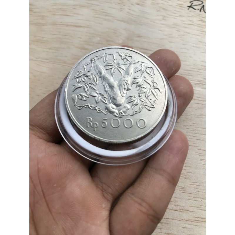 Koin Kuno 5000 Rupiah Otan 1974 Istimewa detail