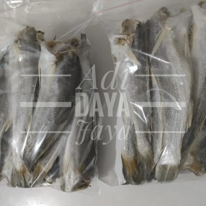 

Ikan Asin Samge Asli Panipahan Bersih Tanpa Sisik& Kepala Ikan