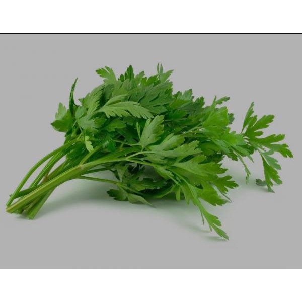 

SELEDRY (PER 250 GRAM)