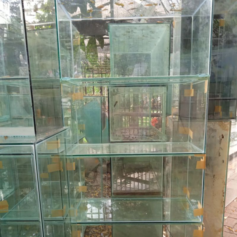 aquarium kaca ukuran 100x40x40 full 8mm