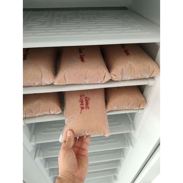 

ikan gabus super giling