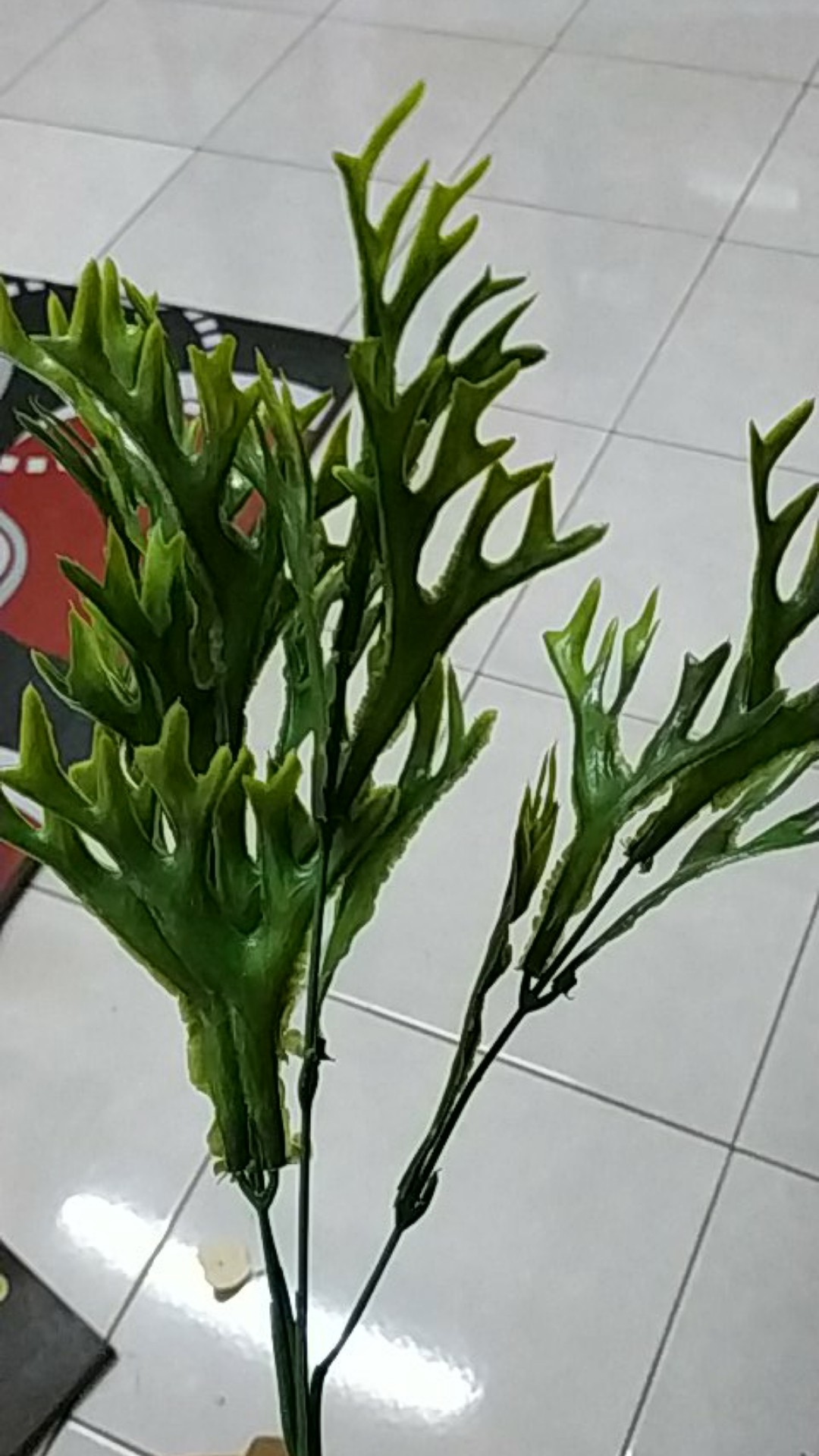 Pakis Kijang - Bunga Artificial Home Decor Shabby Chic