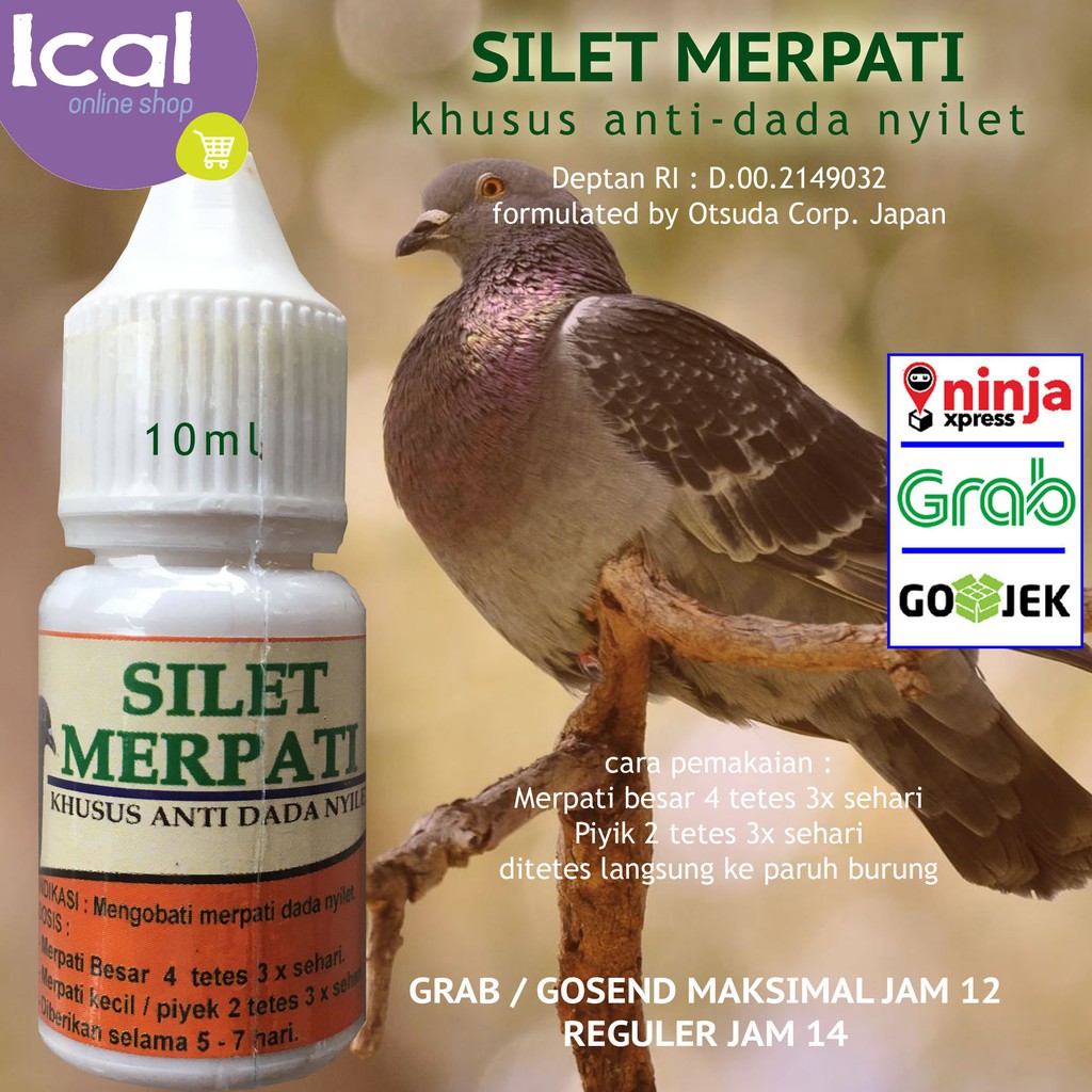 Obat Burung Merpati Anti Dada Nyilet Silet Merpati Shopee Indonesia