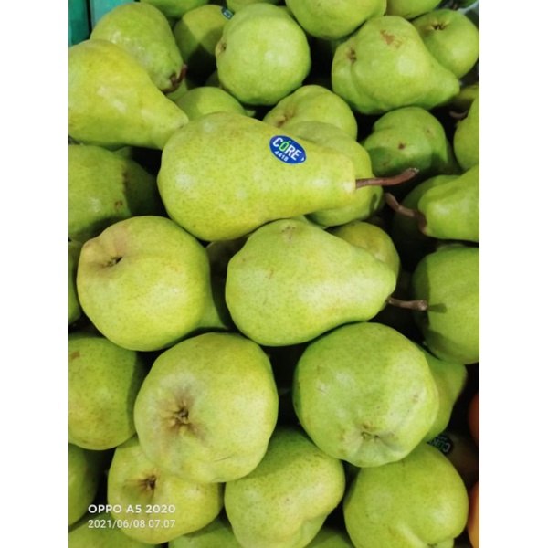 

Buah pear hijau|pear packam|nuri fruits|buah segar bandung