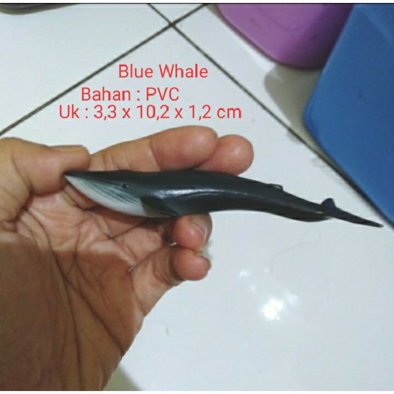 Miniatur Ikan Paus Biru Miniatur Figure Blue Whale