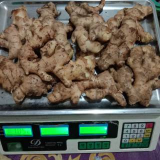 

jahe putih 100 gr