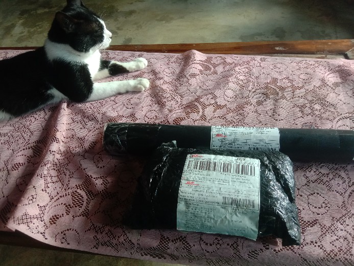 Wallpaper Mtf Keropi Ijo Gh121(kolian 29rb)