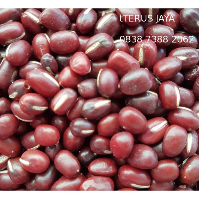 

Kacang Merah Azuki Import PROMO Kode 1410