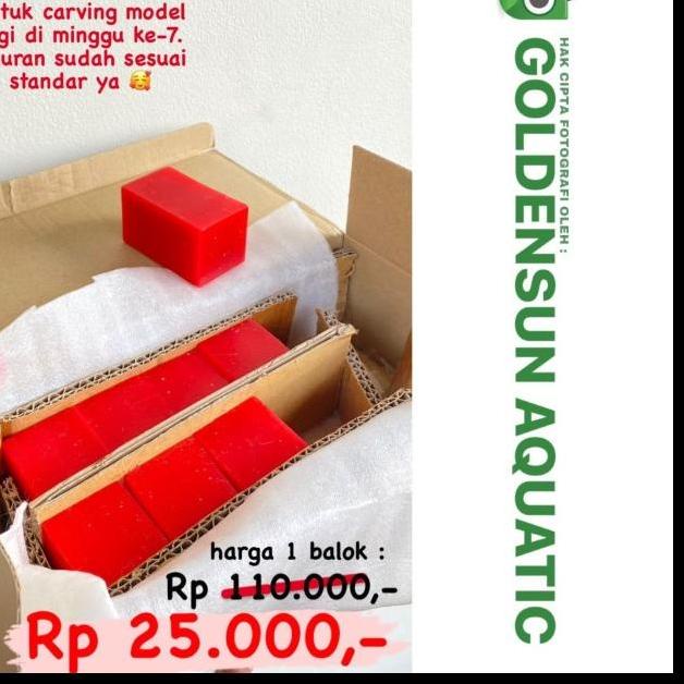 Paling Baru ✩ [] DENTAL WAX BLOCK CARVING LILIN MALAM BAHAN UKIR MODEL GIGI STANDAR FKG,,,