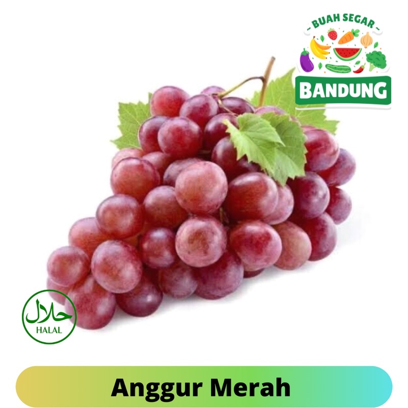 

Buah Grape Australia Manis Premium Kemasan 1KG
