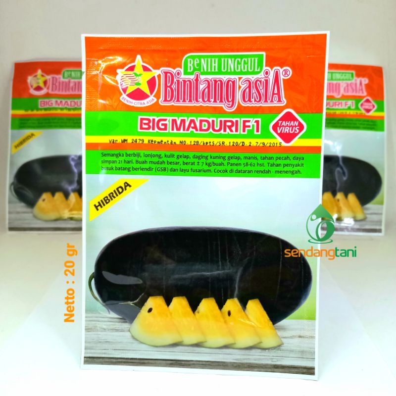 Semangka BIG MADURI F1 20 gr Benih Bibit Semangka Lonjong Inul Kuning Cap Bintang Asia