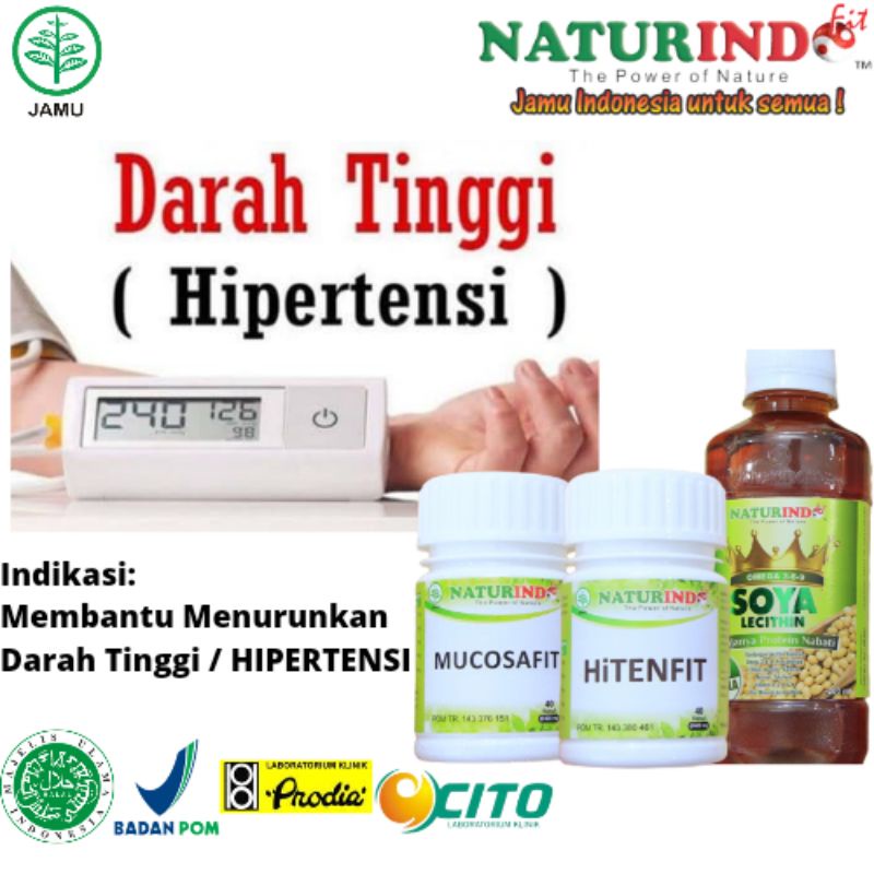 

OBAT DARAH TINGGI , PUSING BERKUNANG - KUNANG , HIPERTENSI HERBAL NATURINDO