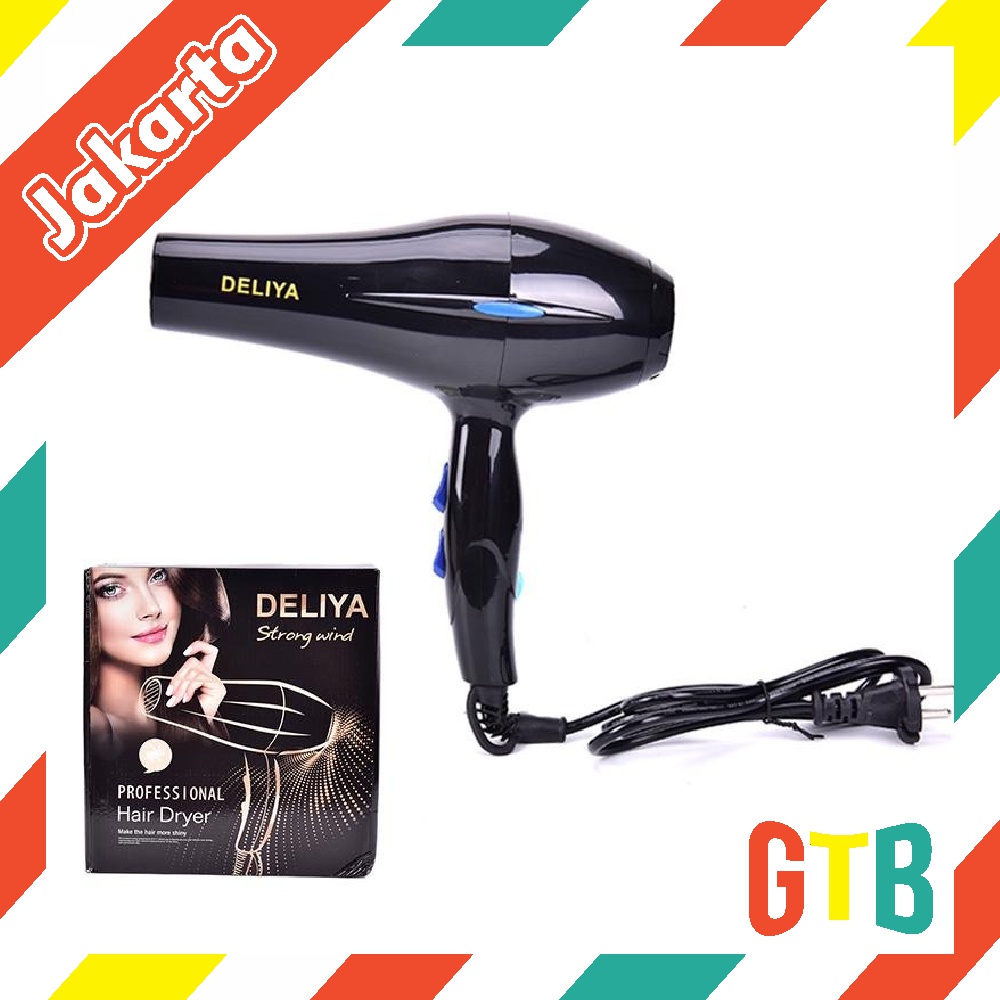 ❤️GTB❤️ R348 Hair Dryer Deliya