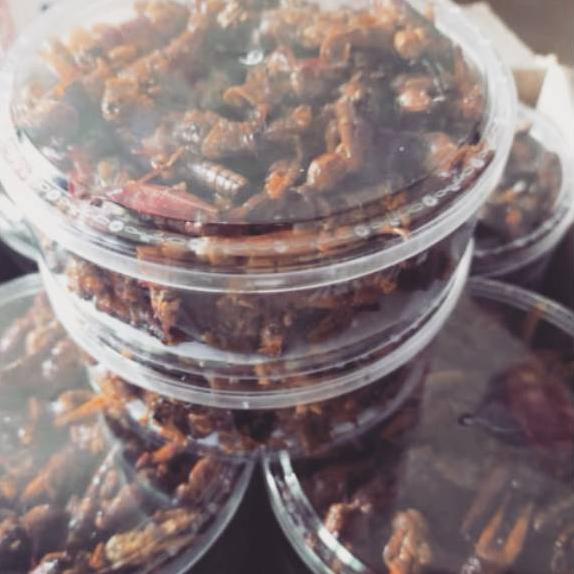 

{Z-OUQ) {♥) Belalang Goreng Enak / Walang Goreng Kemasan Toples 100 Gram {premium)