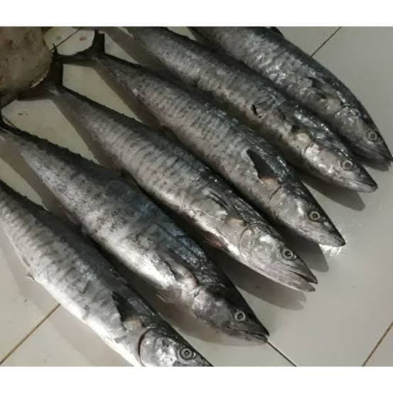 

ikan tenggiri segar 500 gram/ fresh market bandung