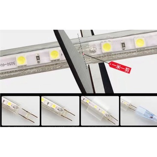 LAMPU LED STRIP ROPE LED 3528 220v(1m~99m) RGB IP66 METERAN 6 WARNA (LAMPU TIKTOK)