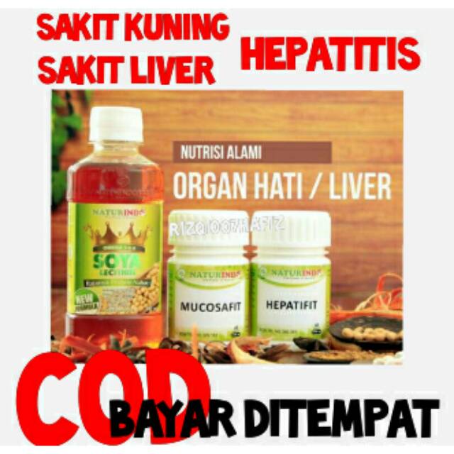 

Paket obat liver hepatitis sakit kuning herbal cod