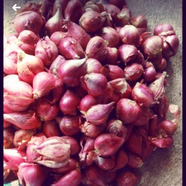 

Bawang Merah Brebes BESAR PILIHAN 250