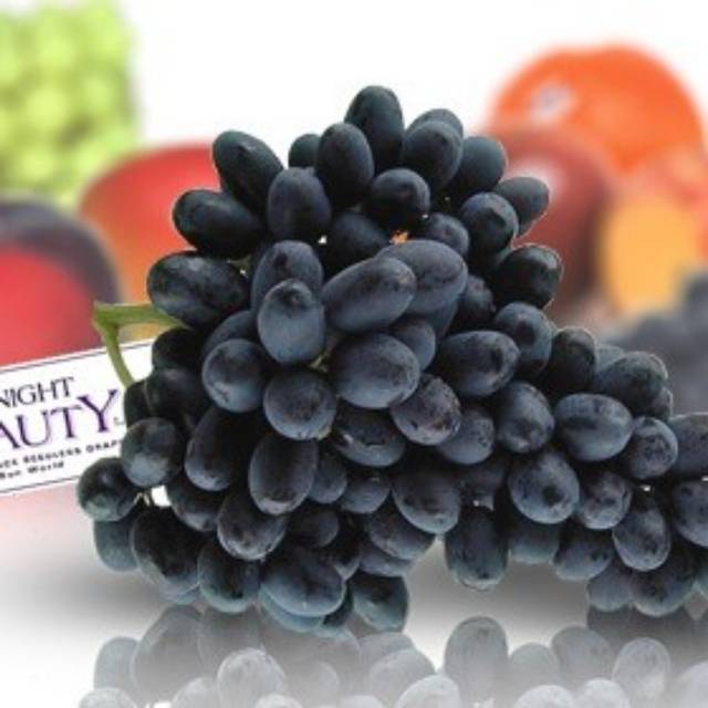 

Anggur Midnight Beauty