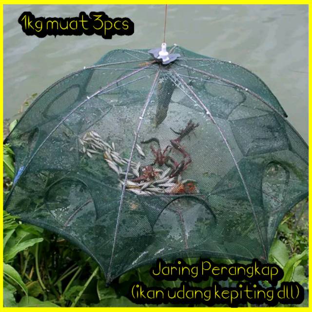 Jaring bubu perangkap ikan kepiting udang jaring payung