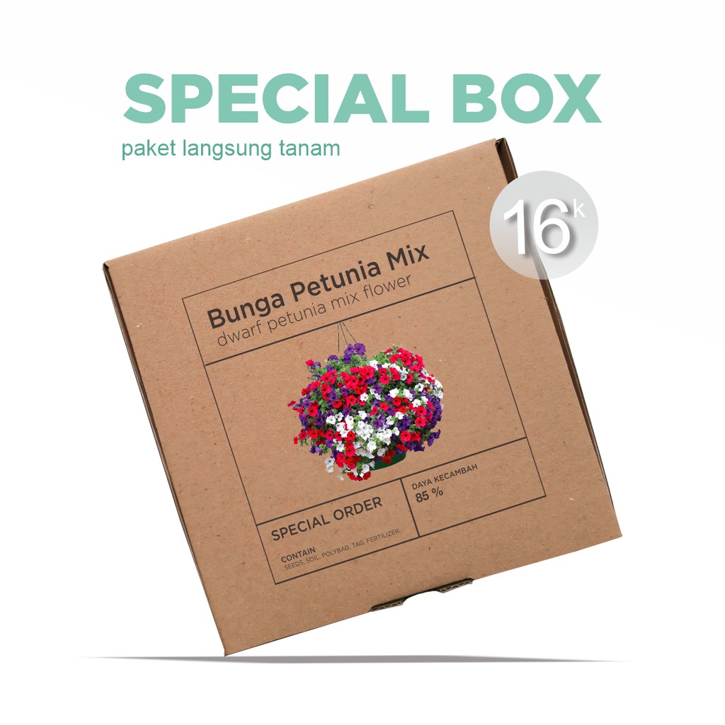 Paket Langsung Tanam - Gardening Kit - SPECIAL BOX - Benih Bunga Petunia Dwarf Mix Flower Seeds