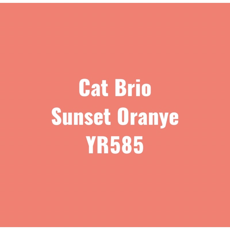 Cat Brio Sunset Oranye