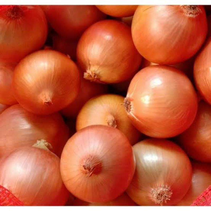 

Bawang Bombai 1 kg/Bawang Murah