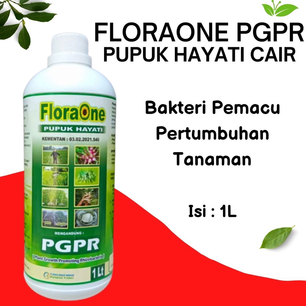 Pupuk Untuk Sayuran Sawi , Pupuk PGPR, Pupuk Sayuran Hidroponik, Pupuk Hayati Cair Pelebat Tanaman S