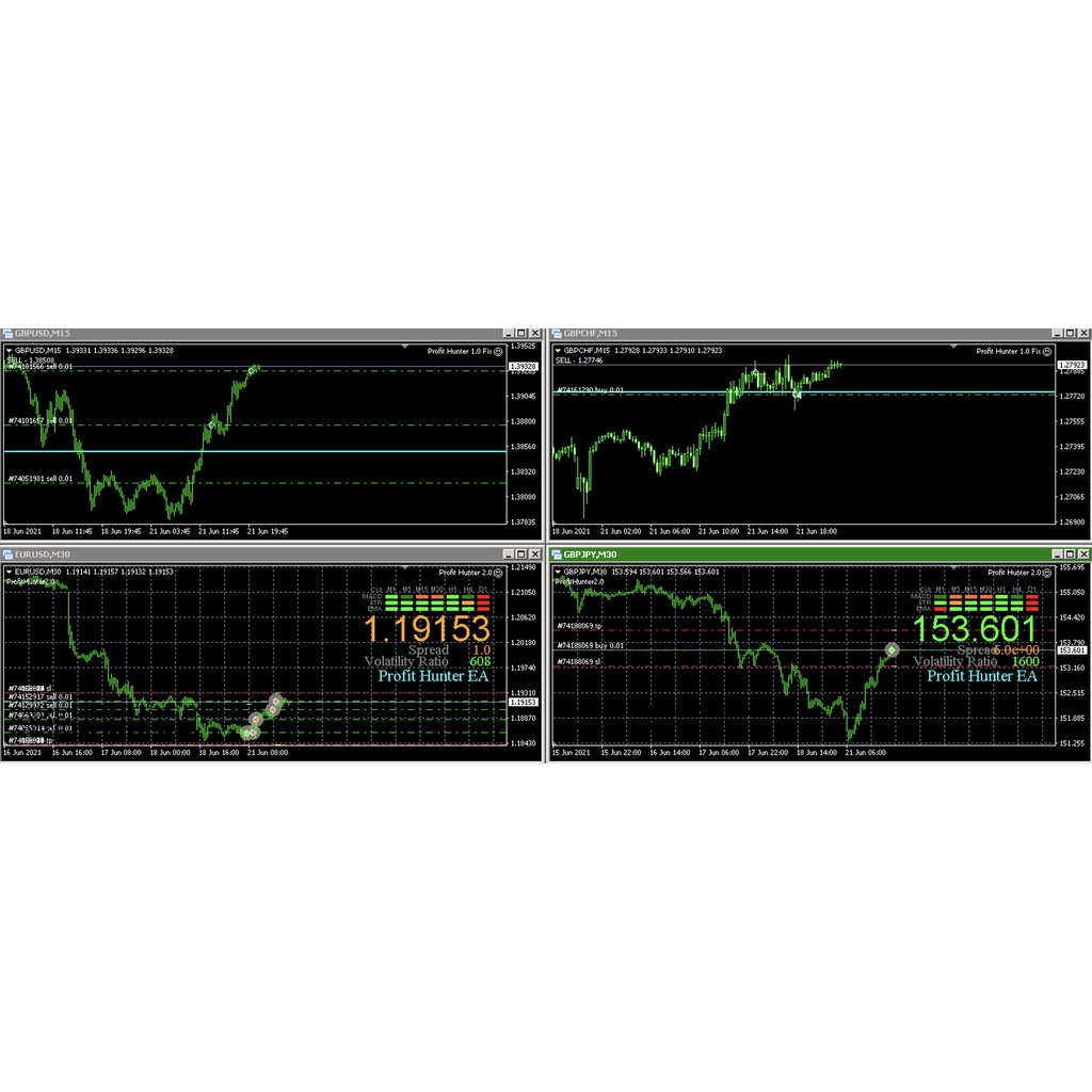 EA Bundling ( Promax, Profit Hunter, Money Pile, XAUScalper )