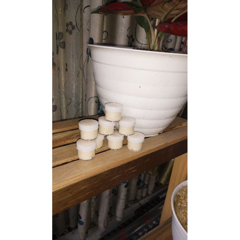 

SERBUK DAYAK ASLI KALIMANTAN