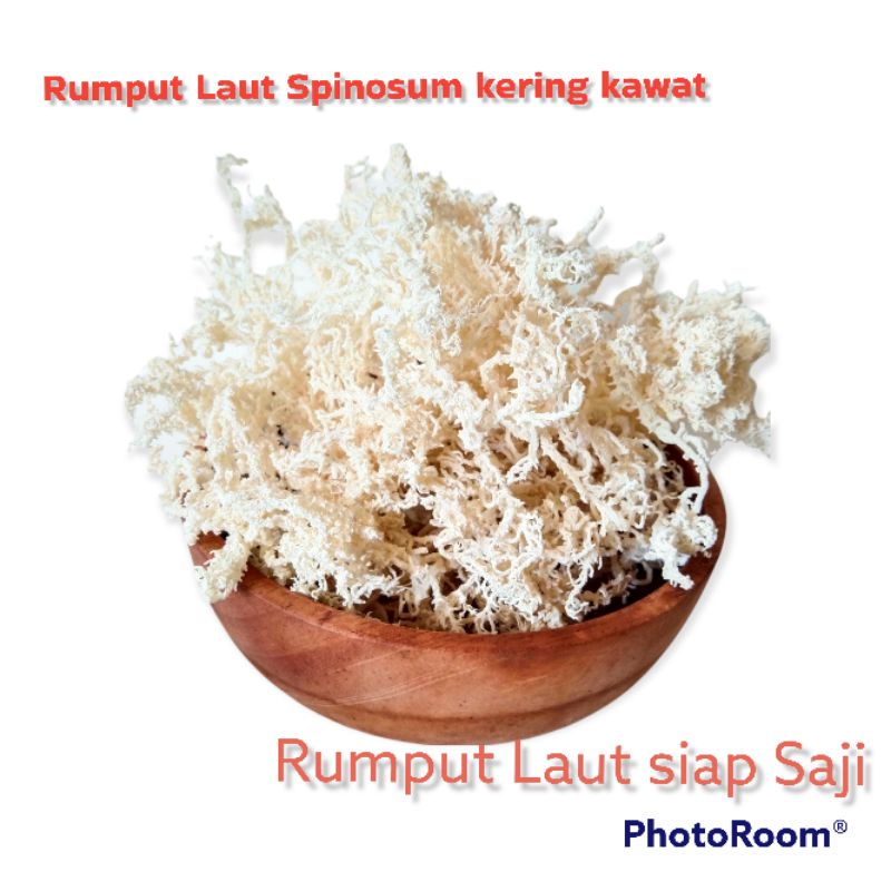 

Rumput Laut Kering, Rumput Laut Kering Kawat Spinosum, Rumput Laut Putih Siap Konsumsi, Rumput Laut Es