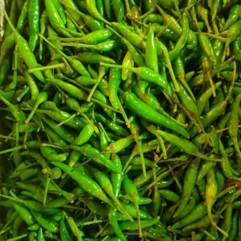 

Cabe rawit hijau (500gram)