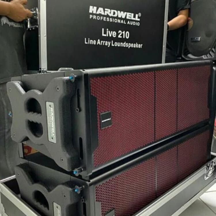 SPEAKER LINE ARRAY HARDWELL LIVE 210 ORIGINAL LIVE210